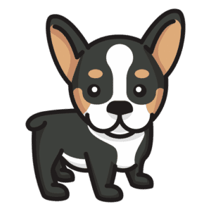 Central pets - cachorro