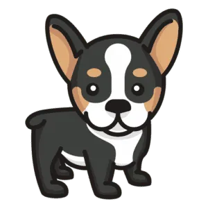 Central pets - cachorro